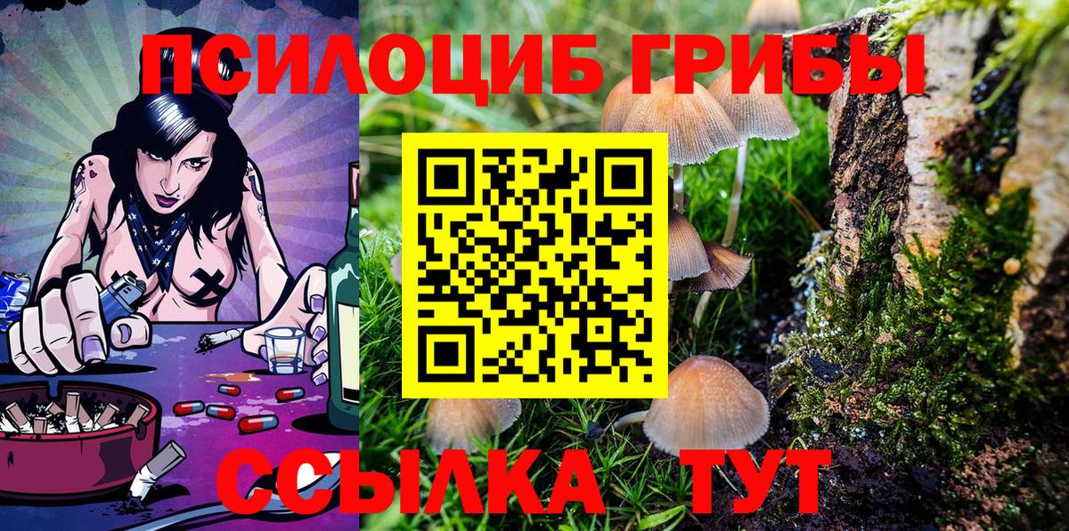Псилоцибиновые грибы мицелий Десногорск